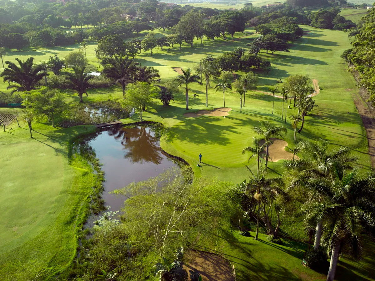 A golf course with a pond and treesDescription automatically generated